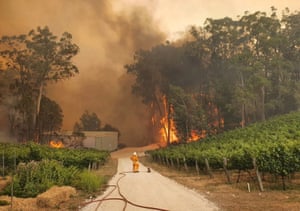 Australia S Environment Minister Says Up To 30 Of Koalas Killed In Nsw Mid North Coast Fires Australia News The Guardian