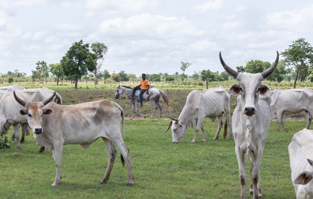 A farmer’s son patrols the edge of his farm on his horse.