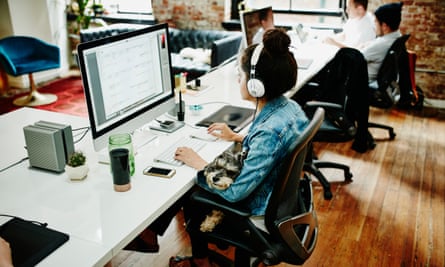 A dogs sits on a woman’s lap in an office