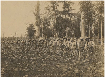 Prisoners performing fieldwork in Mississippi in about 1911.