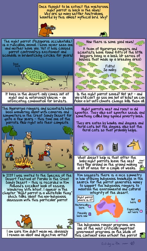 Firs Dog on the Moon cartoon: Night Parrot Redux, panel 1