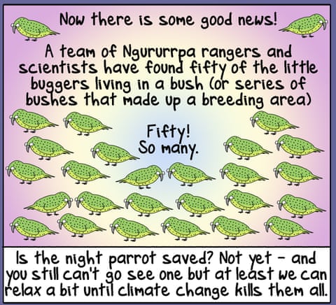 Firs Dog on the Moon cartoon: Night Parrot Redux, panel 3