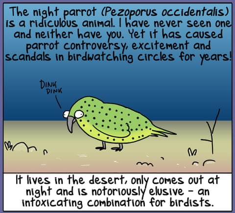 Firs Dog on the Moon cartoon: Night Parrot Redux, panel 2