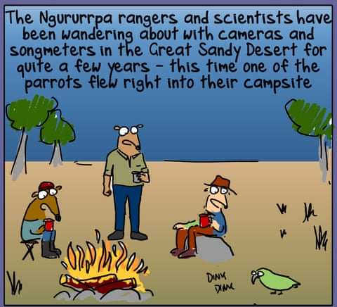 Firs Dog on the Moon cartoon: Night Parrot Redux, panel 4