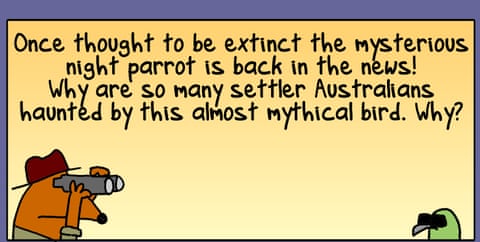 Firs Dog on the Moon cartoon: Night Parrot Redux, panel 1