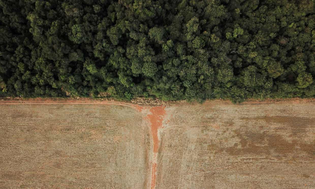 EU ban on deforestation-linked goods sets benchmark, say US lawmakers