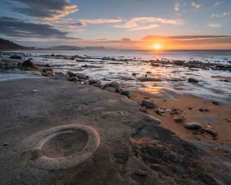 An ammonite at the fossil graveyard at Lyme Regis in Dorset.