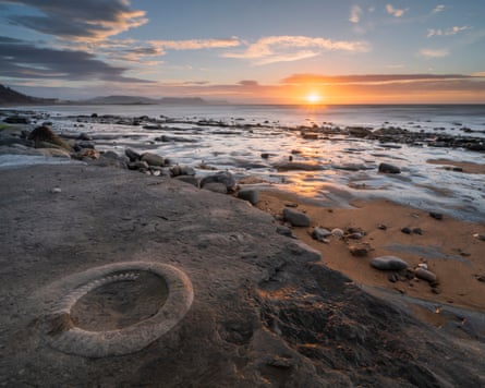 An ammonite at the fossil on a beach