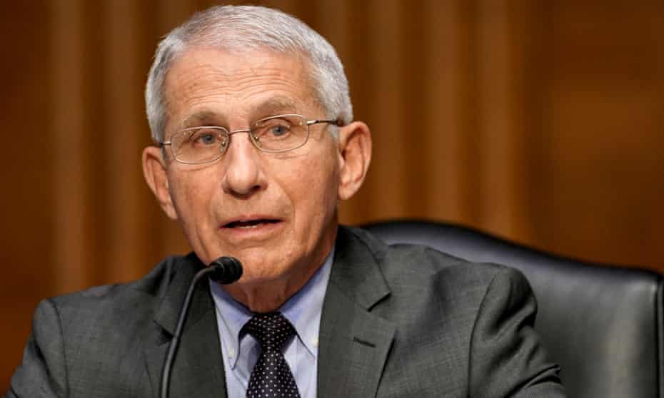 Dr Anthony Fauci answers questions during a Senate hearing this week.