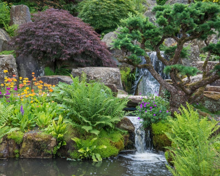 RHS unveils plans to protect UK gardens from future water shortages