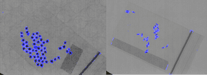 Algorithm automatically detecting seeds