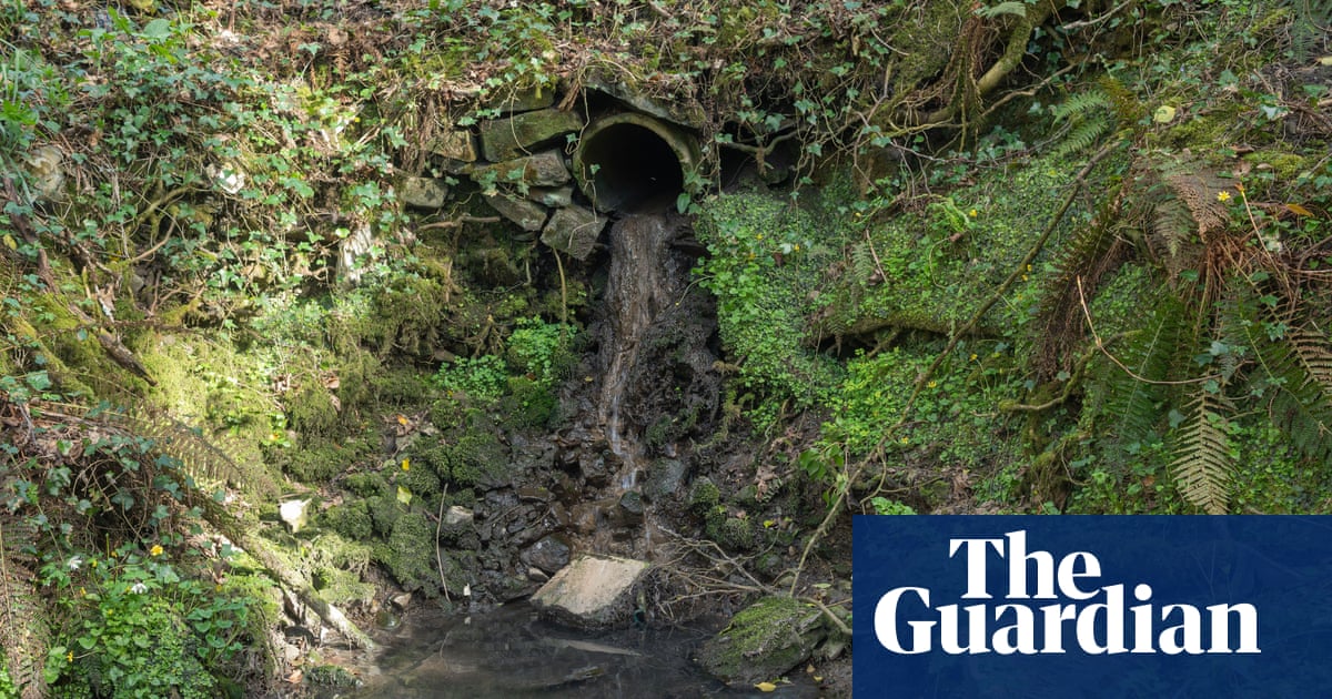Water bosses in England and Wales face bonus bans for illegal sewage discharges