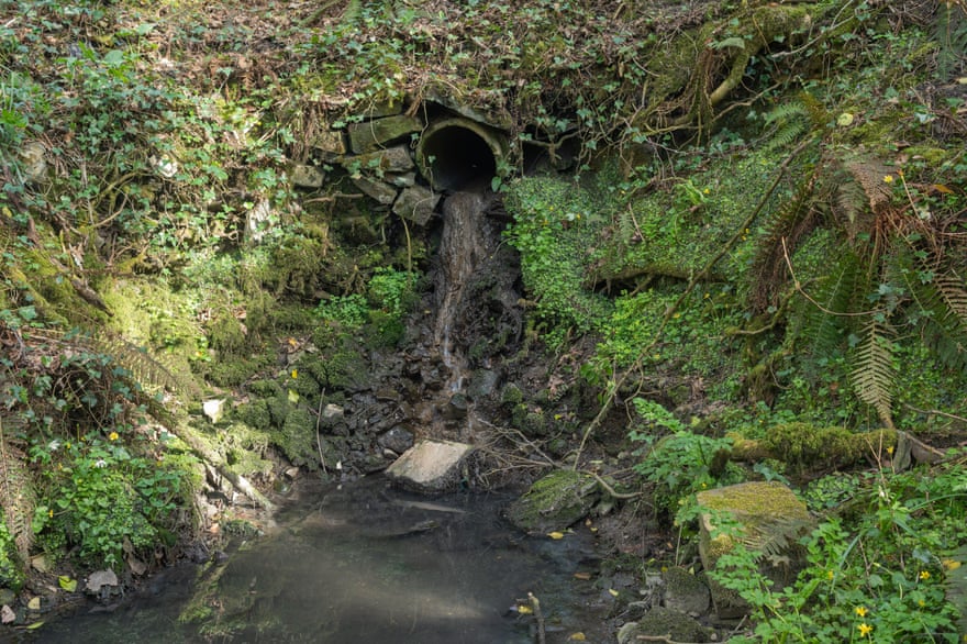 Raw sewage escaping into a river in Carmarthenshire in Wales.