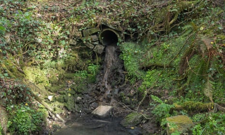 Pollution from outfall pipe discharging untreated sewage into a tributary of the Gwendraeth Fawr, in Carmarthenshire, Wales.