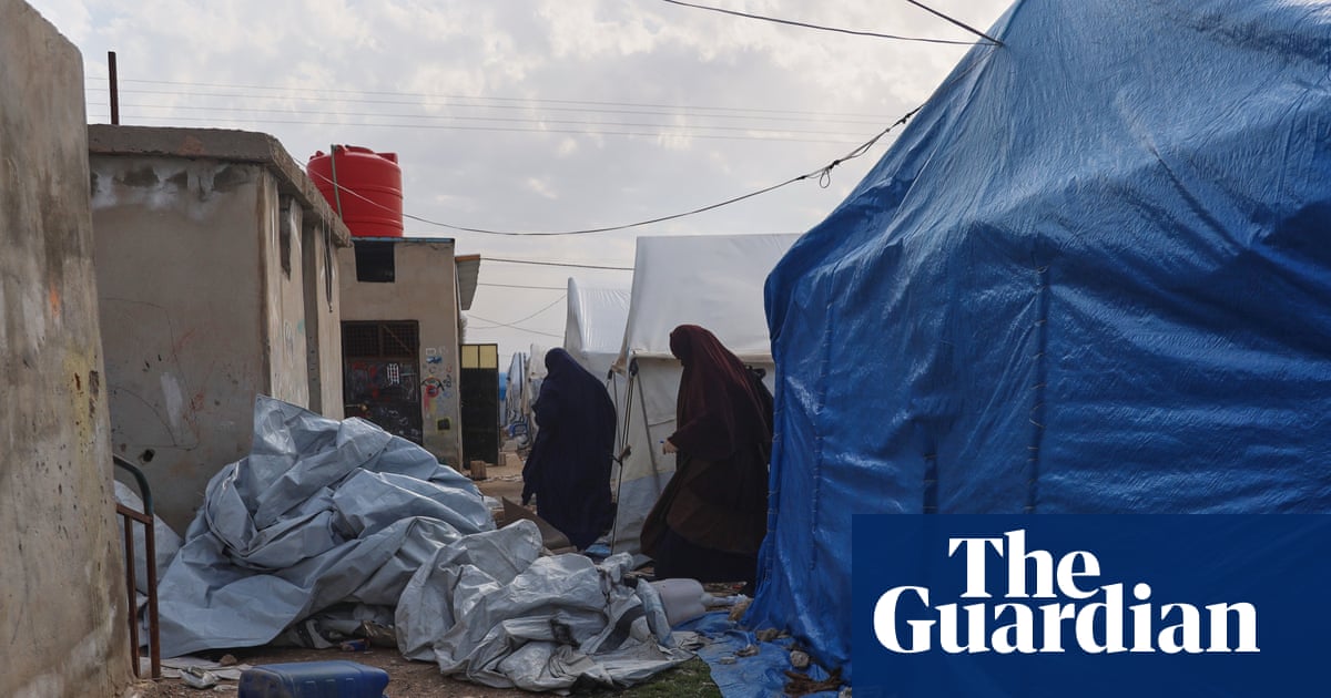 As conditions in Roj camp deteriorate, Australia urged to accept citizens trapped in Syria