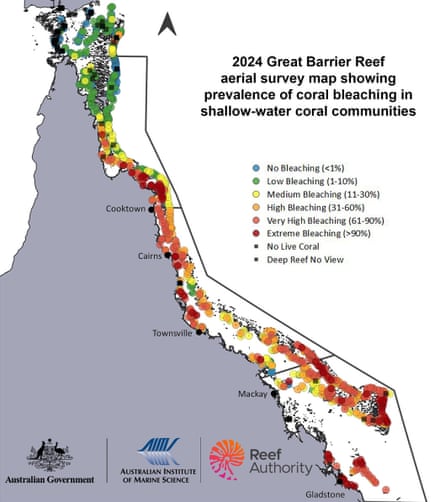 2024 Great Barrier Reef aerial survey map showing prevalence of coral bleaching in shallow-water coral communities