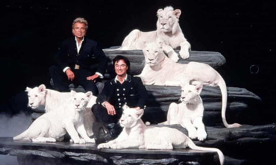 Siegfried and Roy with thier white lions and white tigers, Las Vegas.