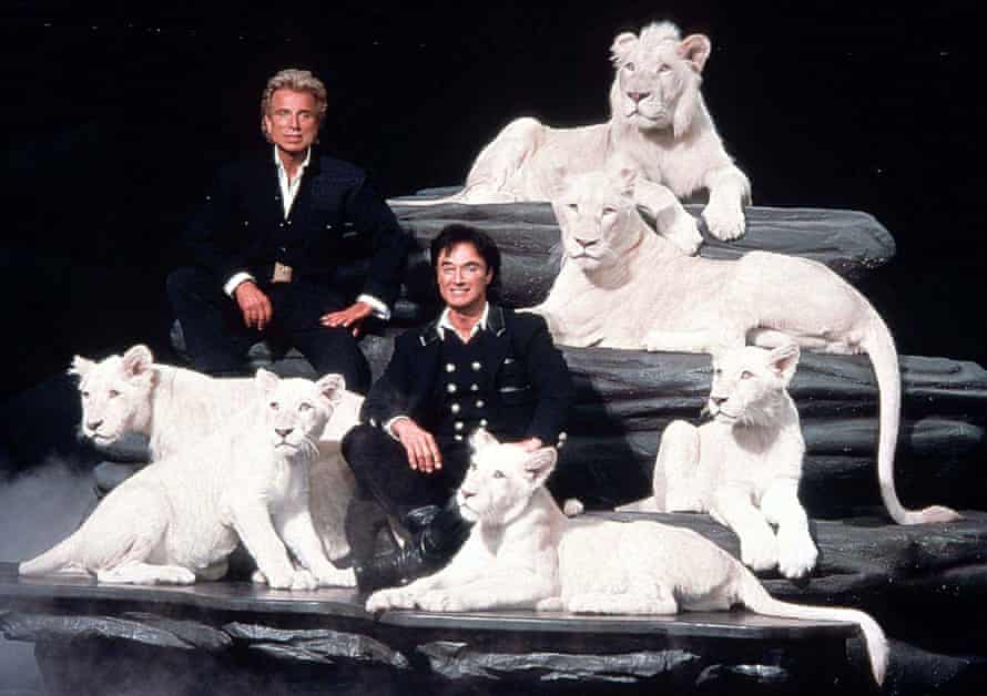 'C'étaient des hyperboles manifestées'… Siegfried et Roy avec leurs lions blancs et leurs tigres.