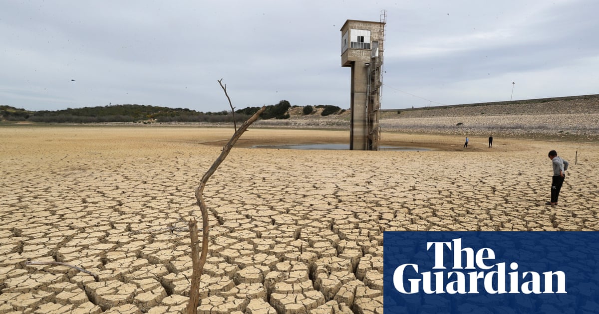 Flawed economic models mean climate crisis could crash global economy, experts warn