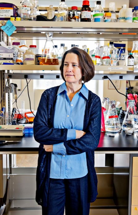 Bonnie Baxter, professor of biology and part of the Great Salt Lake Institute, in the research labs at Westminster College in Salt Lake City.