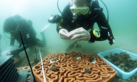 3D printed terracotta tiles to create artificial reefs, University of Hong Kong