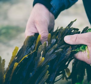 Cook Kitchen Encounters Jade Scott @foreadventure culinary inspiration foraged seaweed