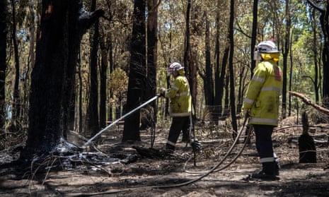 Firefighters douse smouldering trees after a bushfire went through Parkerville in Perth this month