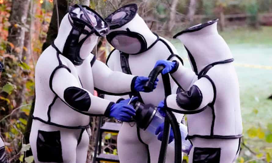 Agriculture department workers clear Asian giant hornets from trees in Blaine, Washington, October 2020