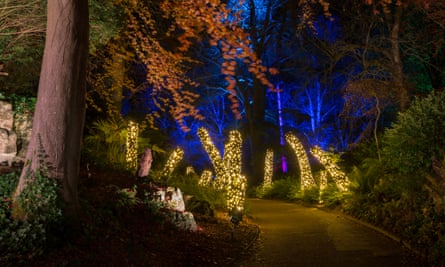 2 Aviary gardens light trail, Christmas at Waddesdon Manor