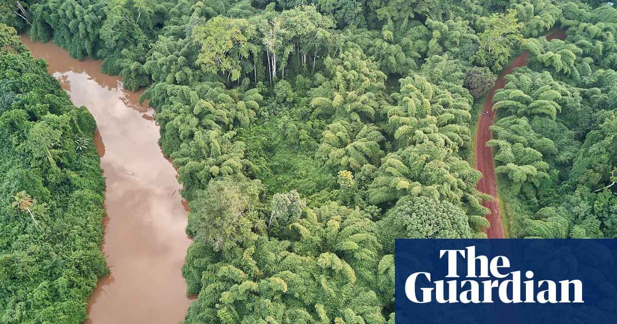 От Амазонка до Африка и Югоизточна Азия разнообразието сред тропическите