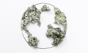 Dried leaves transformed into continents on a globe by Desirée De León