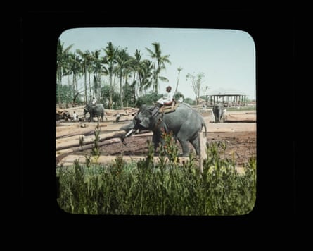 From the series The Suitcase is a Little Bit Rotten, 2022, by Sim Chi Yin.