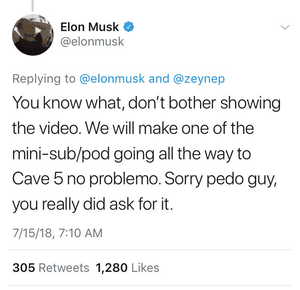 A screen grab of a tweet sent by Elon Musk and subsequently deleted.