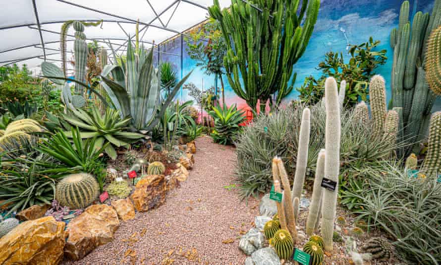 The Hot & Spiky Cactus House at The World Garden at Lullingstone Castle, Kent.