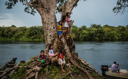 Children in and around a tree by a river
