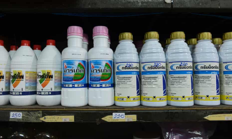 Bottles of paraquat (R) and glyphosate (L) are displayed for sale at a gardening shop in Bangkok.