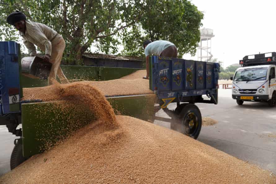 Workers unload wheat at a wholesale market near Delhi. India has banned the export of wheat amid continued inflationary pressure and food shortages.