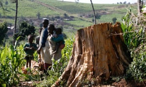 Ogiek tribes children stand near tree stamp in Mauche settlement scheme of Mau Forest Complex in the Rift Valley Kenya. Photograph: Thomas Bohlen/Reuters/Corbis