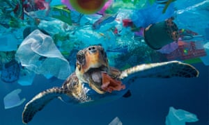 turtle in blue water in patch of plastic garbage
