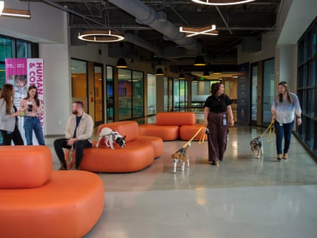 A modern casual office with orange overstuffed benches and employees with dogs on leash.
