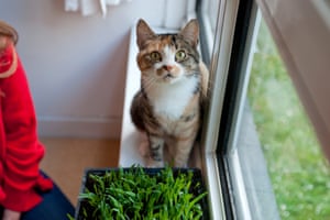 Zora Eves works at Battersea and has fostered Cora during the pandemic