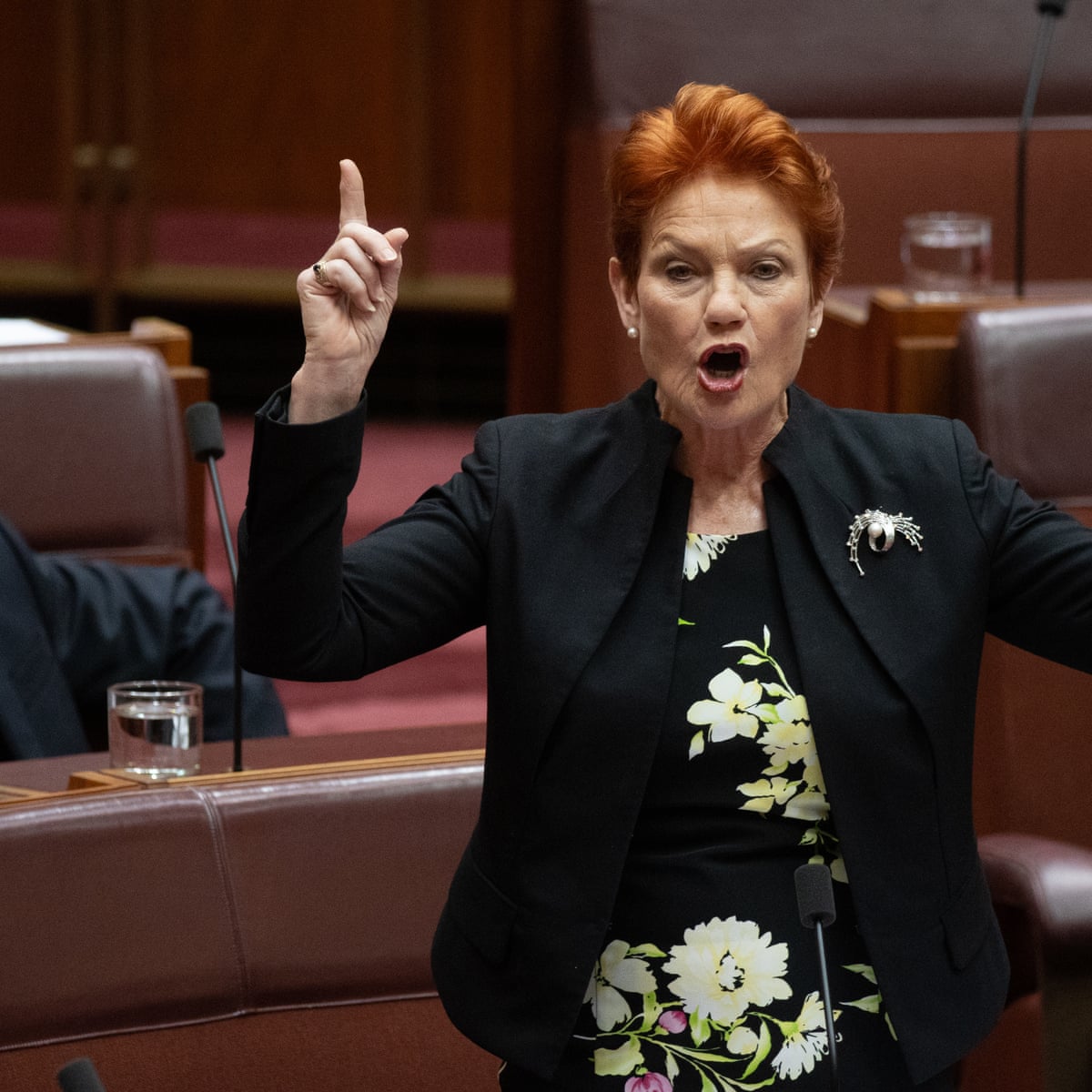 One Nation's future after Pauline Hanson appears grim, but the Queensland election won't be its final test | Paul Williams | The Guardian