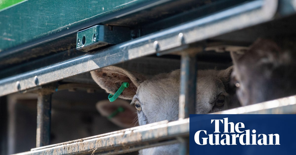 EU preparing to offer key concession to UK in new post-Brexit agricultural deal