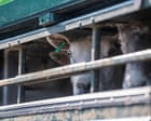 EU preparing to offer key concession to UK in new post-Brexit agricultural deal