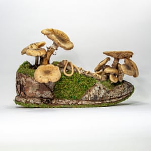 A trainer sculpture with mushrooms created by artist Christophe Guinet