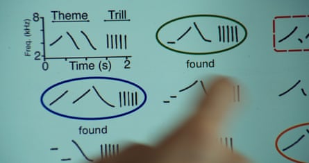 A finger pointing at vertical, upward and downward strokes on a page, plus a graph plotting frequency in kHz against time