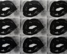 Crush-worthy photography, camp sci-fi and a centenarian’s florals: five free exhibitions to see