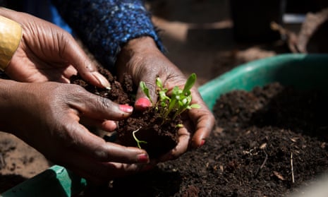 Gardening session run by South London and Maudsley NHS trust for asylum seekers and refugees with PTSD