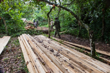 A patrol of eco-guards investigate illegal logging in the Congo.