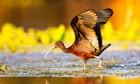 featured-image